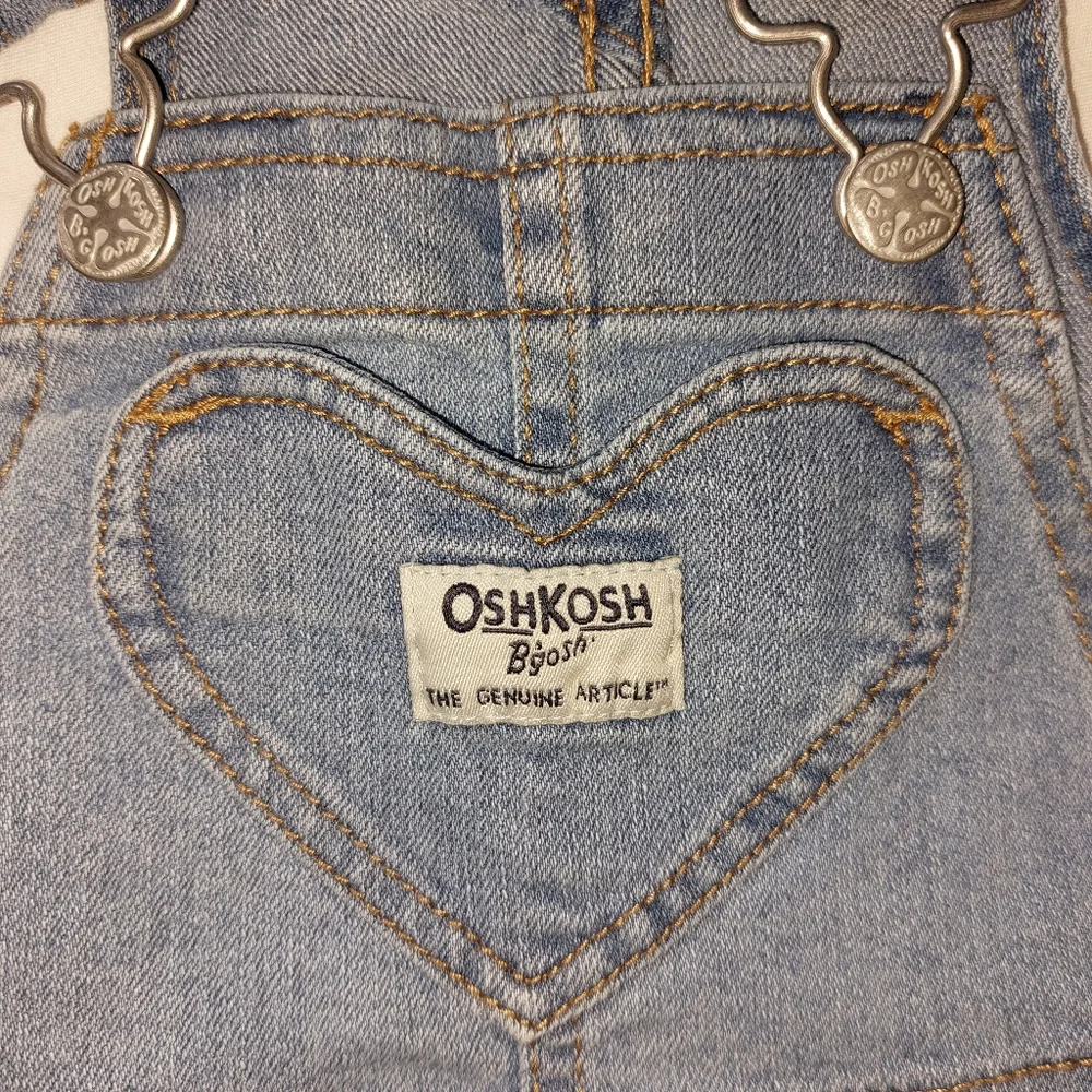Beautiful Oshkosh B'gosh Vestbak Baby Girl Jumper, EUC, 18M